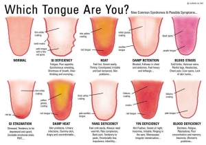 tongue-various bigger-words
